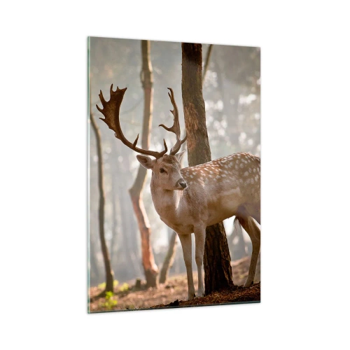Impression sur verre - Image sur verre - Un cerf dans la forêt entouré de brouillard matinal - 50x70cm - La lumière de la jeunesse - Décoration murale moderne pour le salon et la chambre ARTTOR