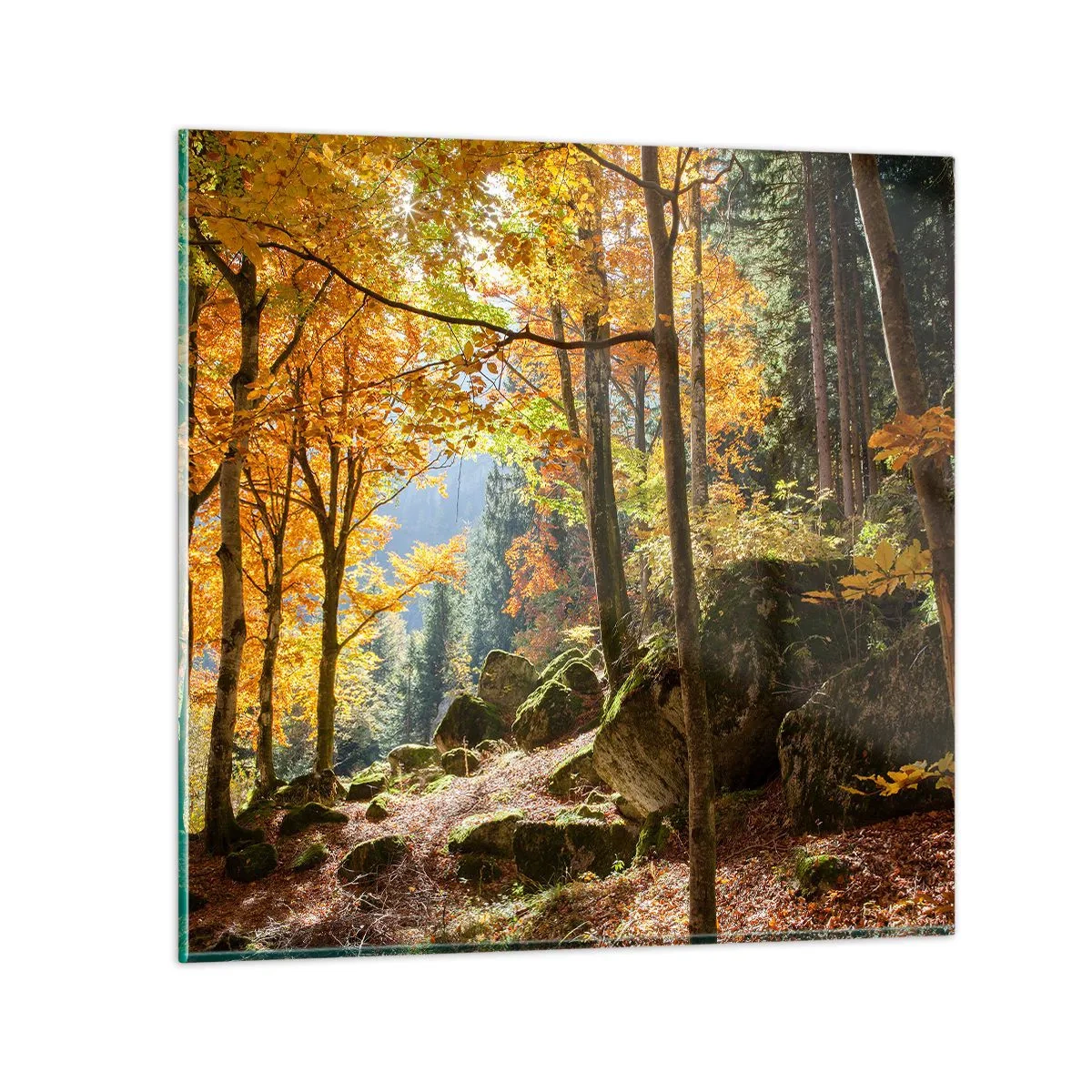 Impression sur verre - Image sur verre - Il est temps de se détendre - 40x40 cm