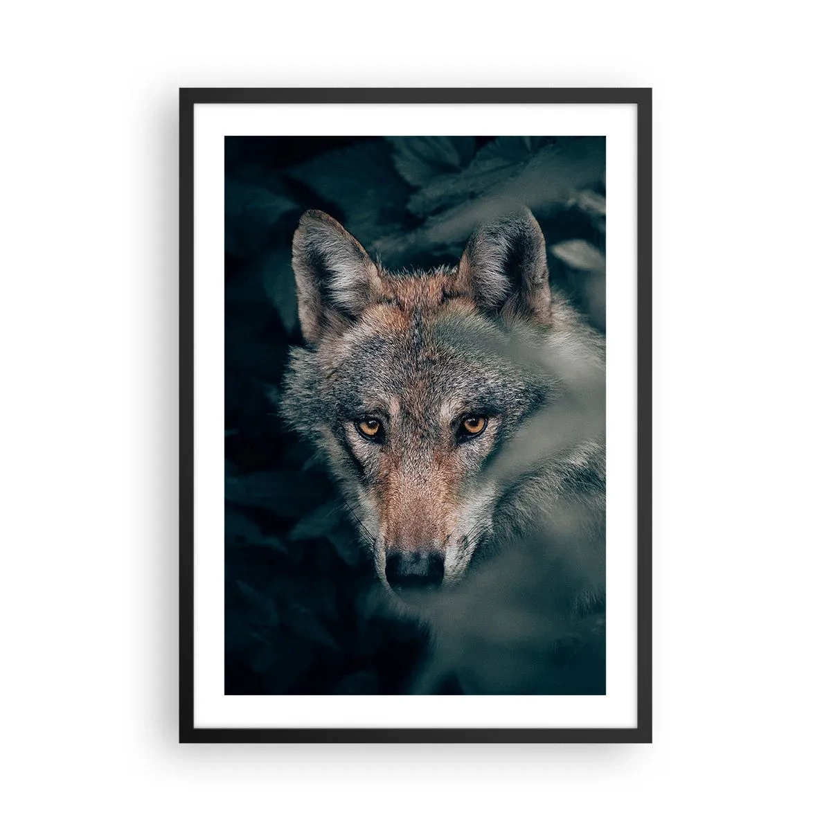 Affiche dans un cadre noir - Poster - Portrait d'un loup dans un décor forestier mystérieux - 50x70cm - Chasseur - Décoration murale moderne pour le salon et la chambre ARTTOR
