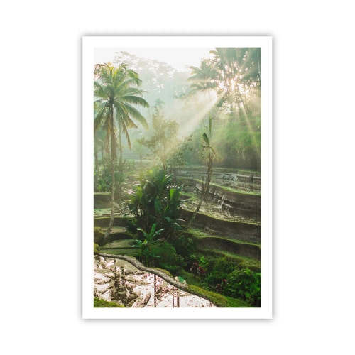 Affiche - Poster - Grandir au soleil - 61x91 cm