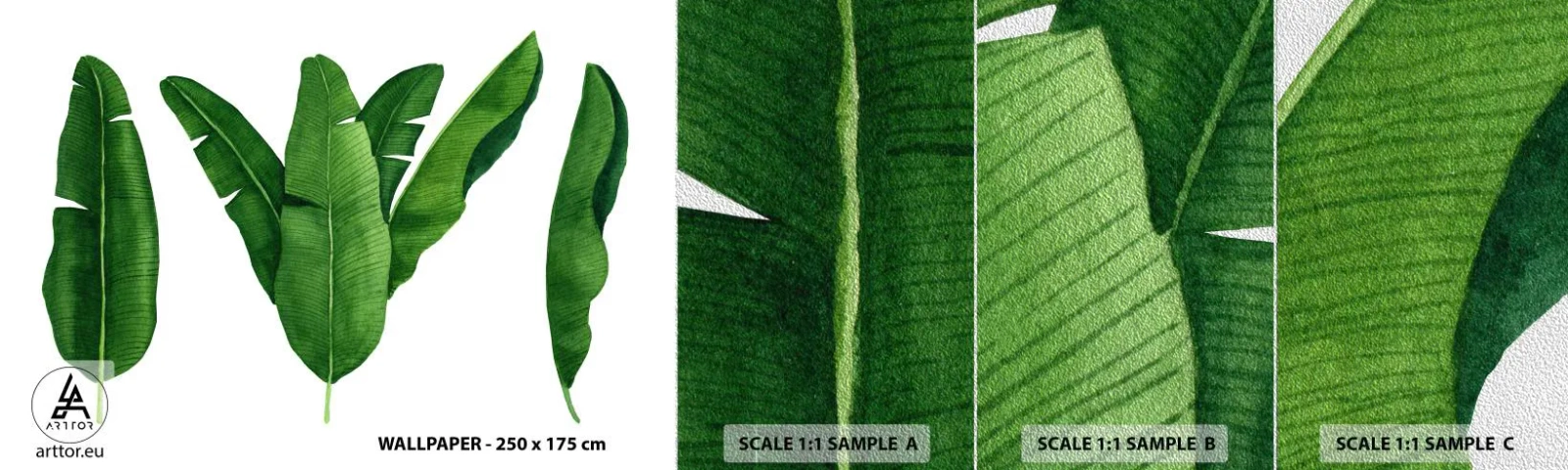 Échantillon de Papier Peint Premium Sand - Symétrie verte - Feuille de banane, Tropical, Style Botanique - 100x30 cm