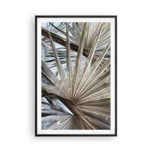 Affiche dans un cadre noir - Poster - Evantail sous les tropiques - 61x91 cm