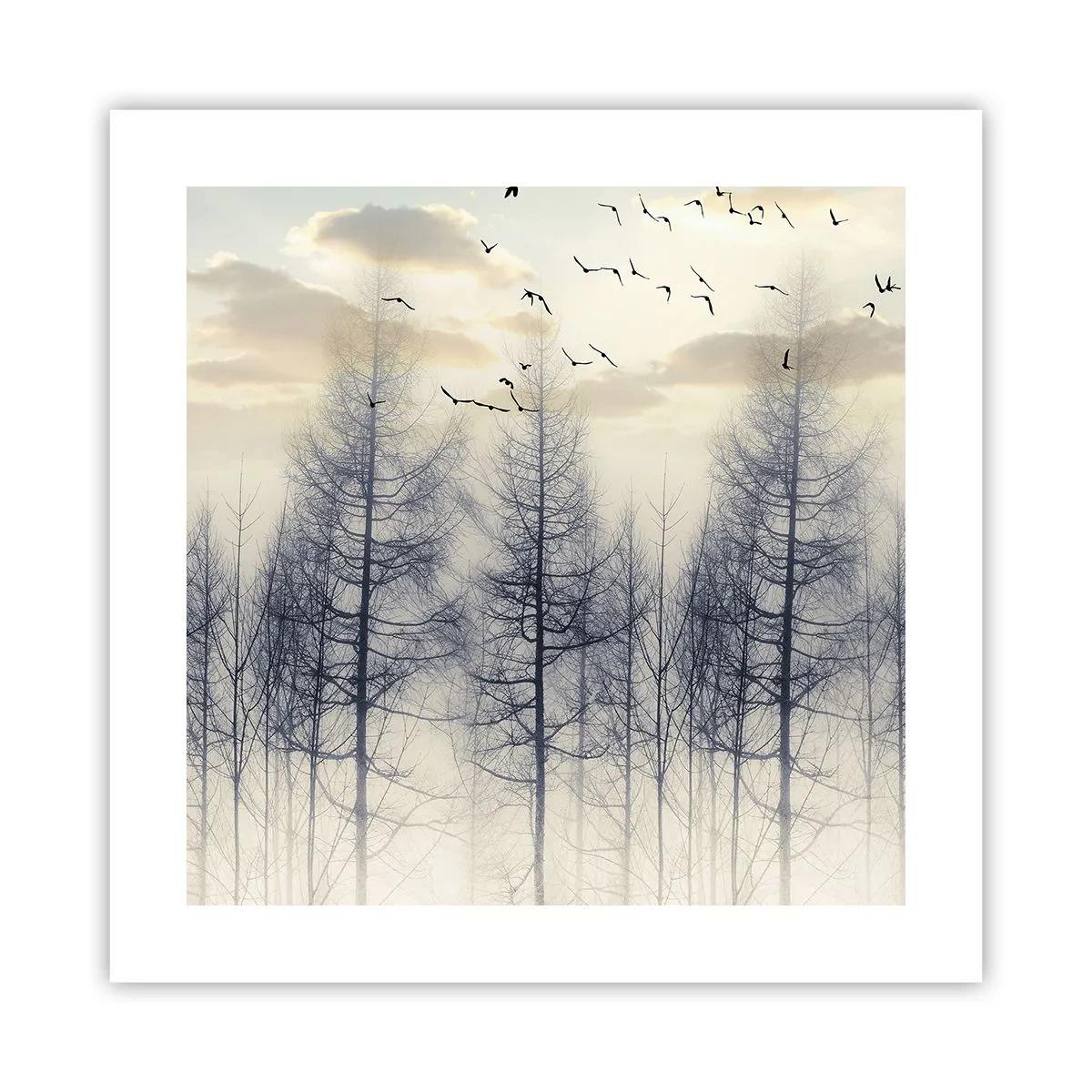 Affiche - Poster - L'âme de la forêt - 40x40 cm