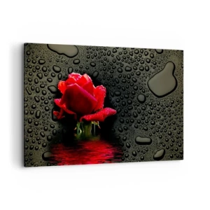 Impression sur toile - Image sur toile - Rose rouge avec des gouttes d'eau sur un fond sombre - 120x80cm - Rouge et noir - Décoration murale moderne pour le salon et la chambre ARTTOR