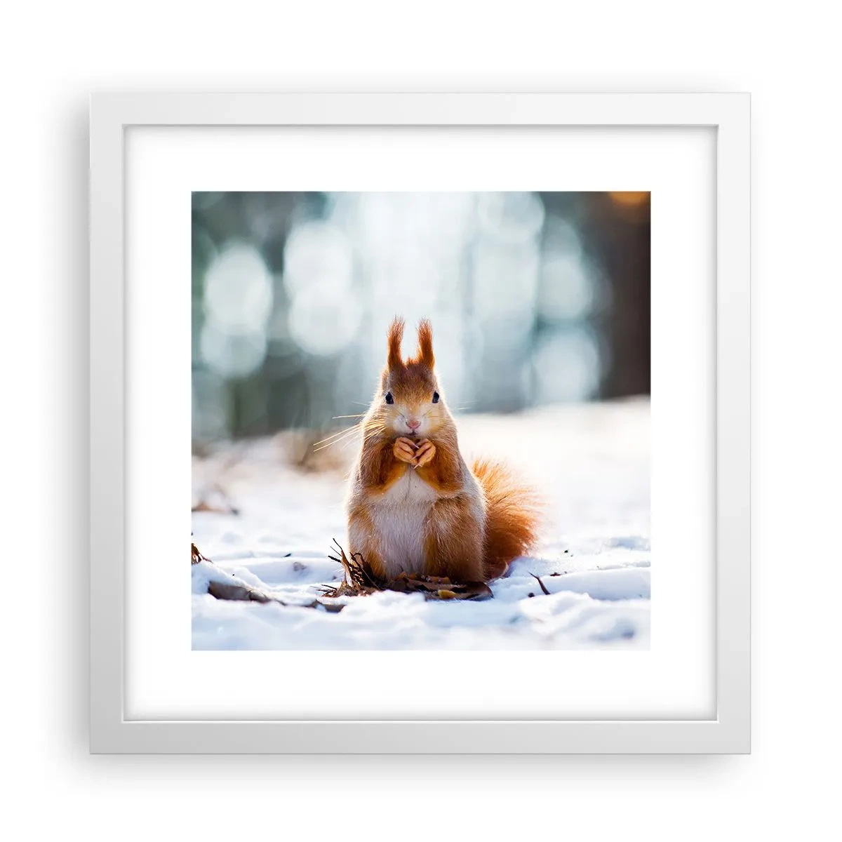 Affiche dans un cadre blanc - Poster - Qu'est ce que tu regardes comme ça? - 30x30 cm