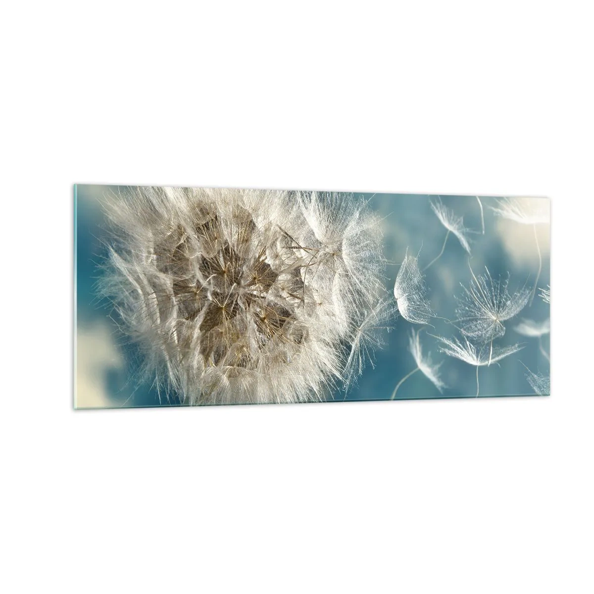 Impression sur verre - Image sur verre - souffle d'ange - 100x40 cm