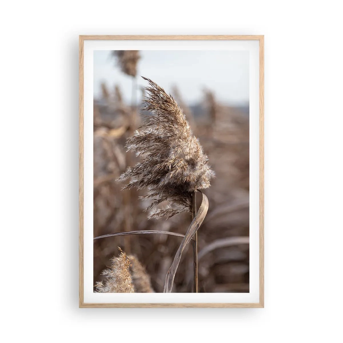 Affiche dans un chêne clair - Poster - Il est temps de s'envoler avec le vent - 61x91 cm