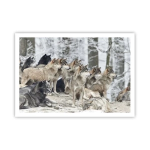 Affiche - Poster - Une meute de loups dans la forêt d'hiver - 100x70cm - Famille et amis - Décoration murale moderne pour le salon et la chambre ARTTOR