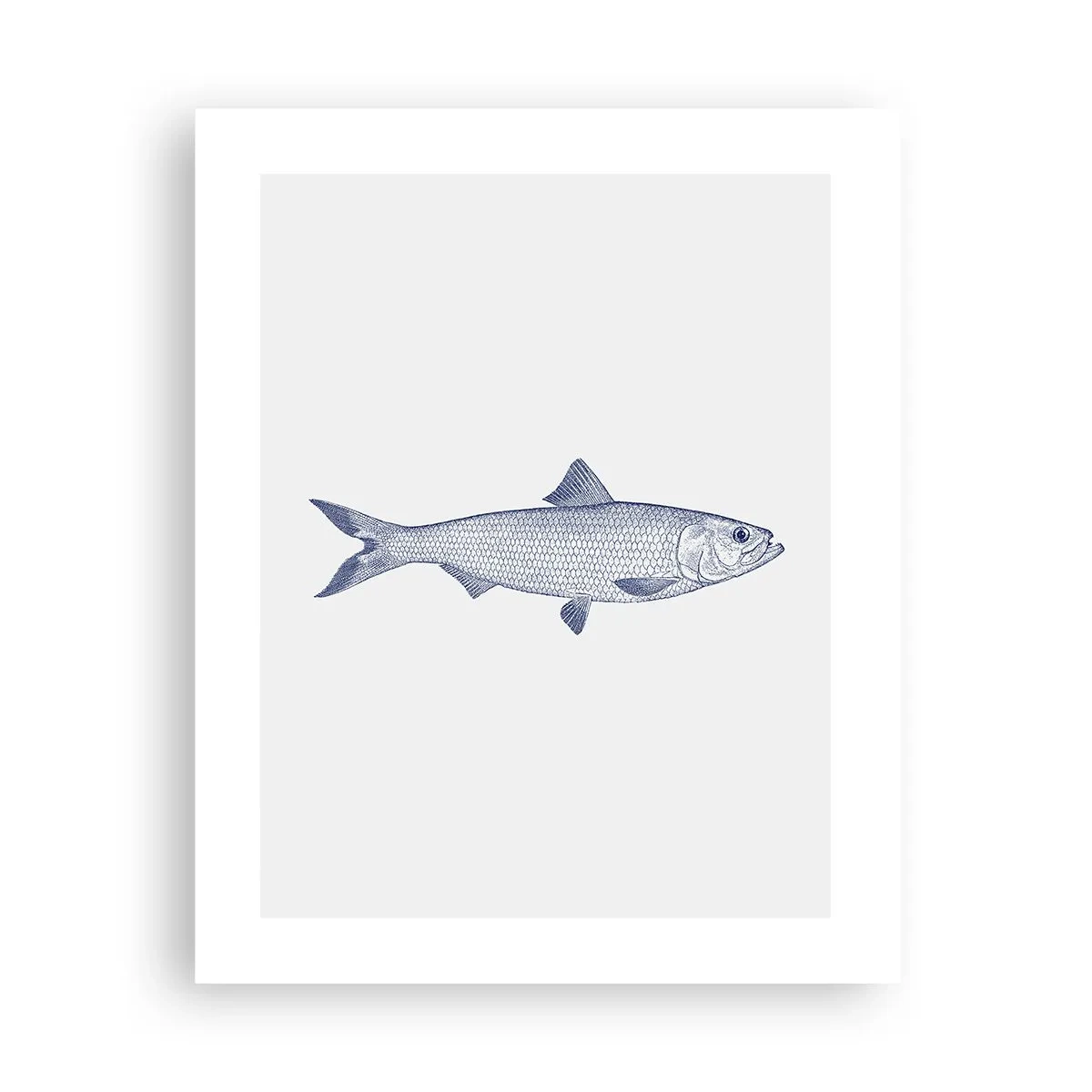 Affiche - Poster - Salutations des mers du nord - 40x50 cm