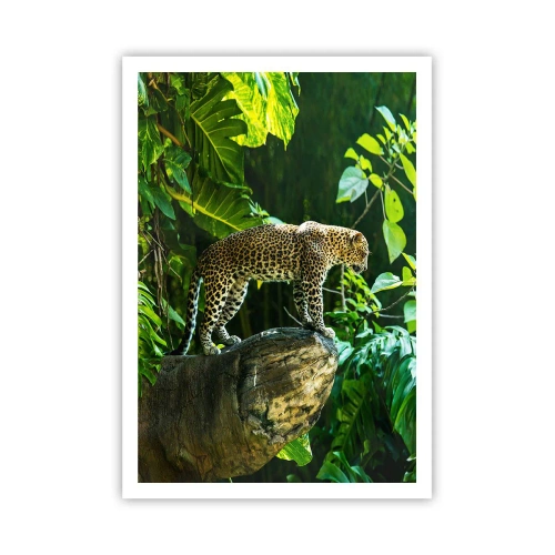 Affiche - Poster - À la chasse? - 70x100 cm