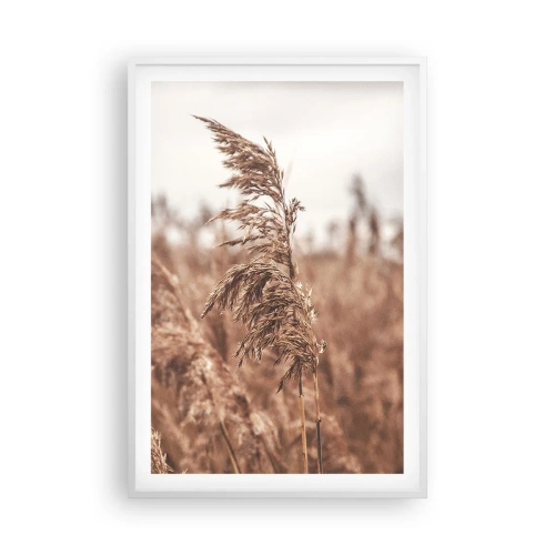 Affiche dans un cadre blanc - Poster - C'est déjà l'automne dans les champs - 61x91 cm