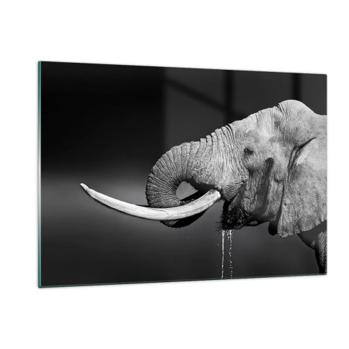 Impression sur verre - Image sur verre - Portrait noir et blanc d'un éléphant avec une trompe - 120x80cm - Oui, c'est bon maintenant - Décoration murale moderne pour le salon et la chambre ARTTOR