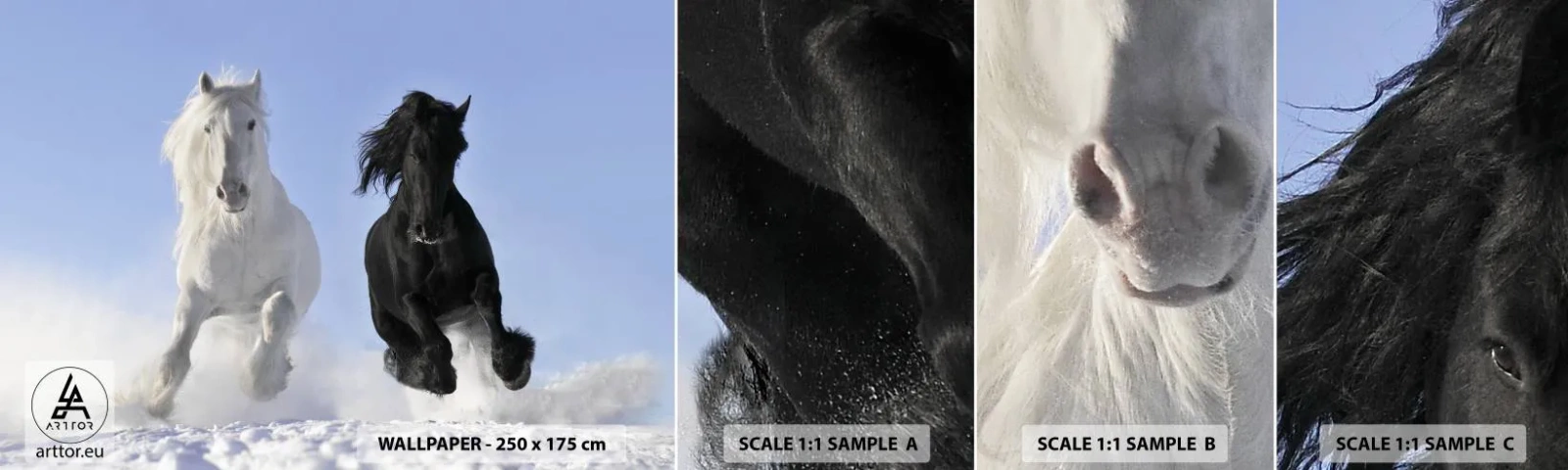Échantillon De Papier Peint Standard Eco - Galop noir et blanc - Animaux, Cheval, Hiver - 100x30 cm