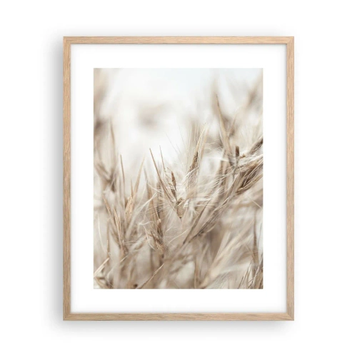 Affiche dans un chêne clair - Poster - Prairie et vent - 40x50 cm