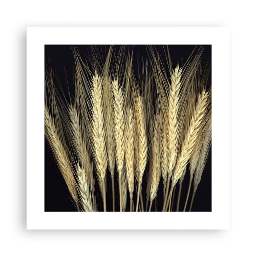 Affiche - Poster - Magie rustique - 40x40 cm