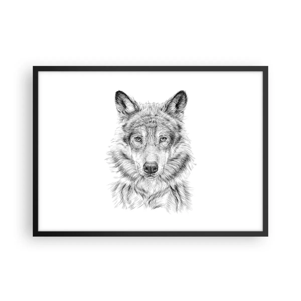 Affiche dans un cadre noir - Poster - Croquis d'une tête de loup dans un style monochrome sur fond blanc - 70x50cm - Un leader né - Décoration murale moderne pour le salon et la chambre ARTTOR