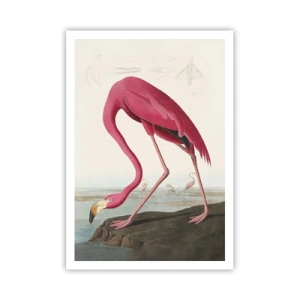 Affiche - Poster - Création étonnante - 70x100 cm