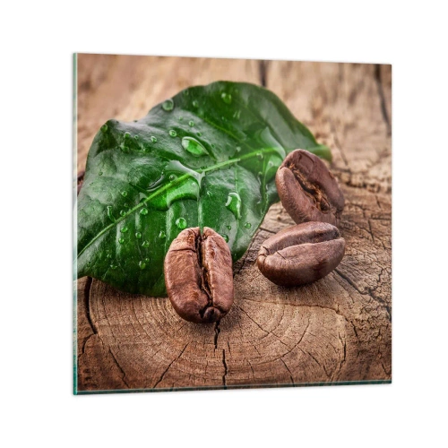 Impression sur verre - Image sur verre - La plus vraie et noire - 70x70 cm