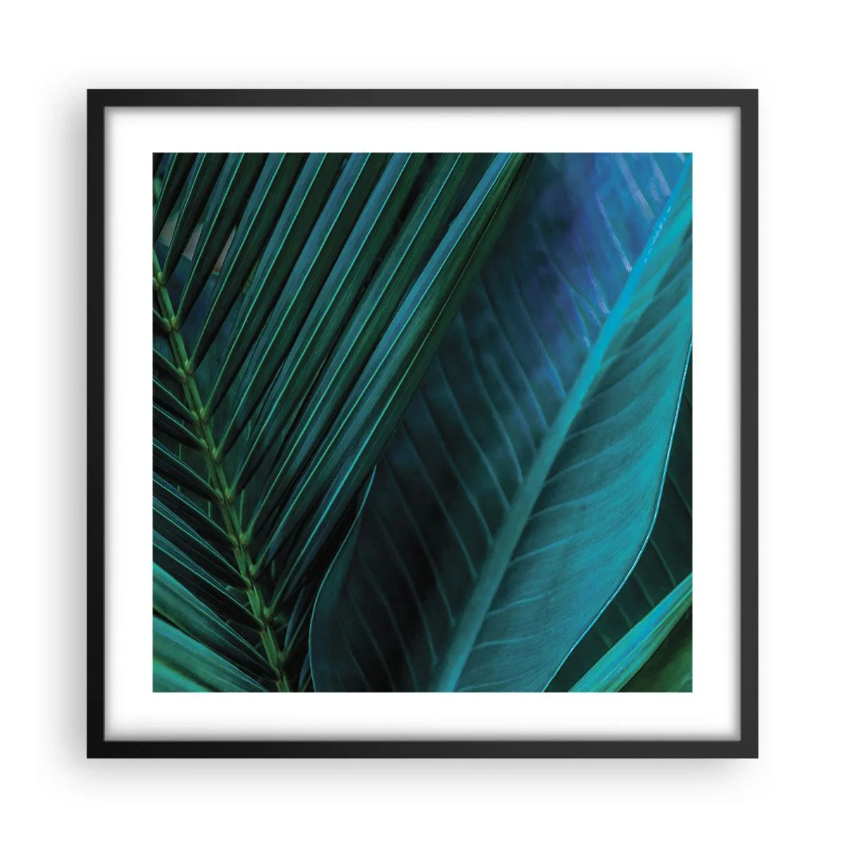 Affiche dans un cadre noir - Poster - L'anatomie du vert - 50x50 cm