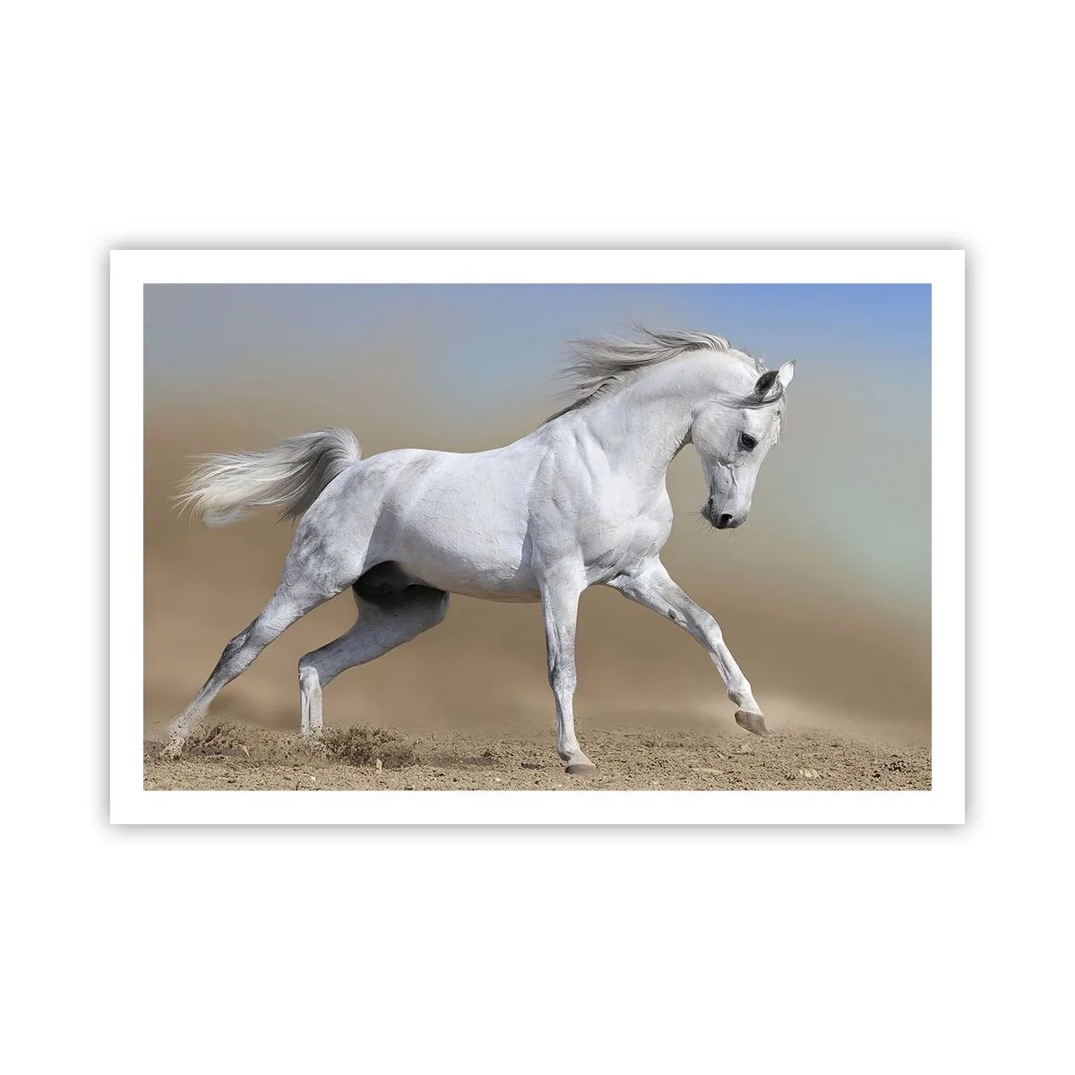 Affiche - Poster - Le plus beau conte de fées arabe - 91x61 cm