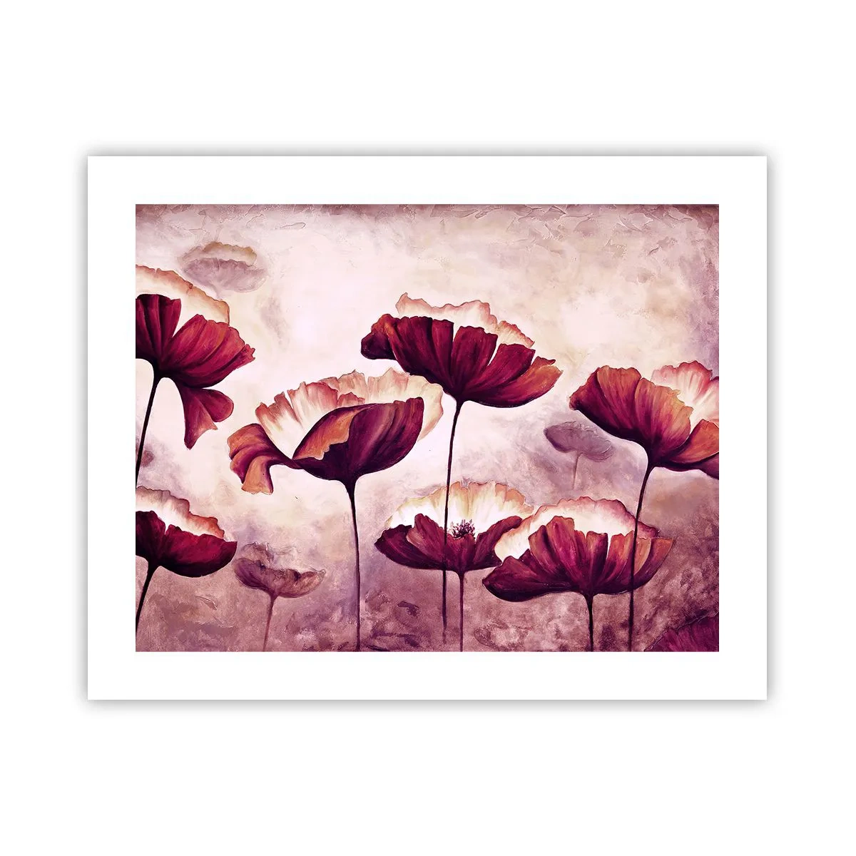 Affiche - Poster - Pétale rouge et blanc - 50x40 cm