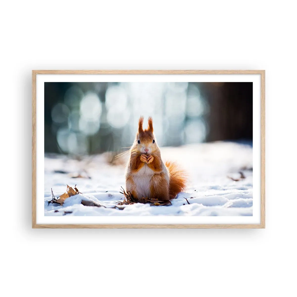 Affiche dans un chêne clair - Poster - Qu'est ce que tu regardes comme ça? - 91x61 cm