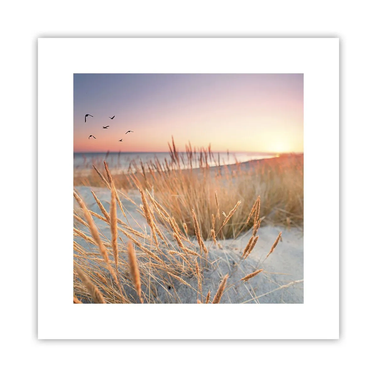 Affiche - Poster - Berceuse baltique - 30x30 cm