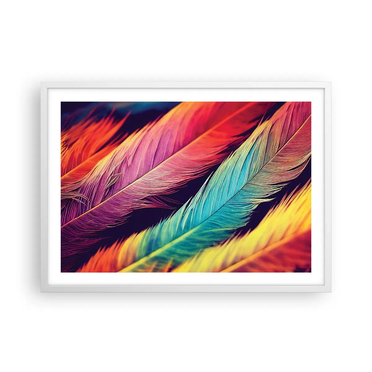 Affiche dans un cadre blanc - Poster - Arc-en-ciel de plumes - 70x50 cm