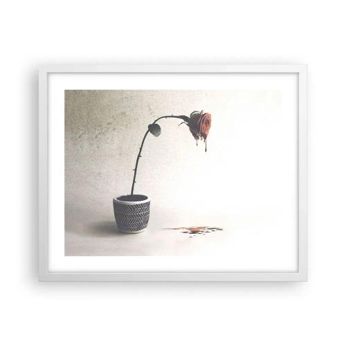 Affiche dans un cadre blanc - Poster - Rosa dolorosa - 50x40 cm