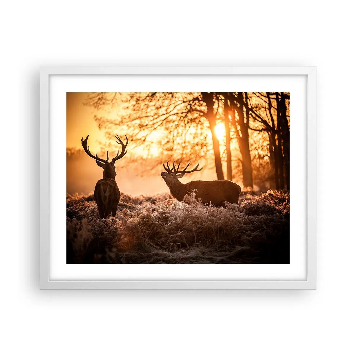 Affiche dans un cadre blanc - Poster - Le rêve d'un chasseur - 50x40 cm