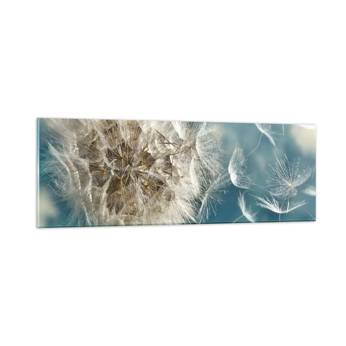 Impression sur verre - Image sur verre - souffle d'ange - 90x30 cm