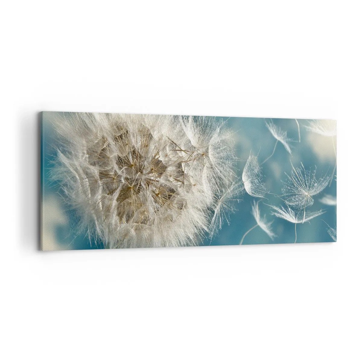 Impression sur toile - Image sur toile - Un pissenlit soufflé contre un ciel bleu - 120x50cm - souffle d'ange - Décoration murale moderne pour le salon et la chambre ARTTOR