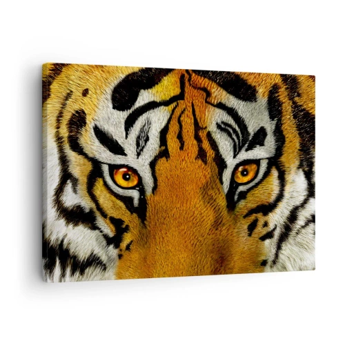 Impression sur toile - Image sur toile - Portrait en gros plan d'un tigre au regard intense - 70x50cm - Terrible et beau - Décoration murale moderne pour le salon et la chambre ARTTOR