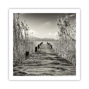 Affiche - Poster - Dans le calme de l'herbe - 60x60 cm