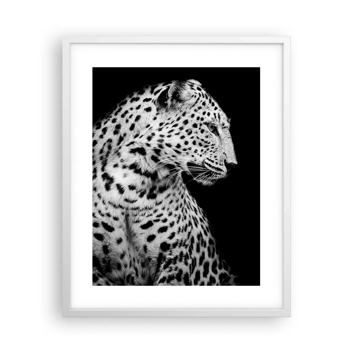 Affiche dans un cadre blanc - Poster - Presque un profil parfait! - 40x50 cm