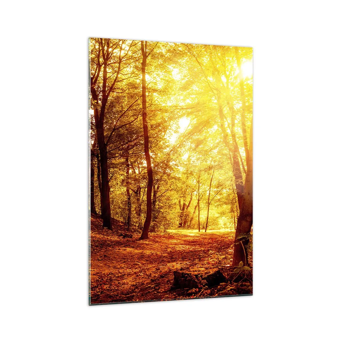 Impression sur verre - Image sur verre - Clairière d'automne sous le soleil doré avec un sentier forestier - 70x100cm - Vers la clairière dorée - Décoration murale moderne pour le salon et la chambre ARTTOR