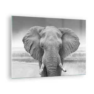 Impression sur verre - Image sur verre - Portrait noir et blanc d'un éléphant dans la savane - 70x50cm - Bienvenue dans mon monde - Décoration murale moderne pour le salon et la chambre ARTTOR