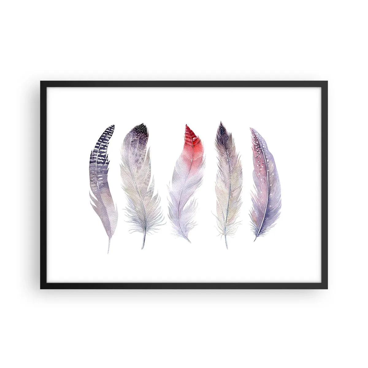 Affiche dans un cadre noir - Poster - Cinq plumes délicates aux tons pastel sur fond clair - 70x50cm - Délicat comme un brouillard multicolore - Décoration murale moderne pour le salon et la chambre ARTTOR