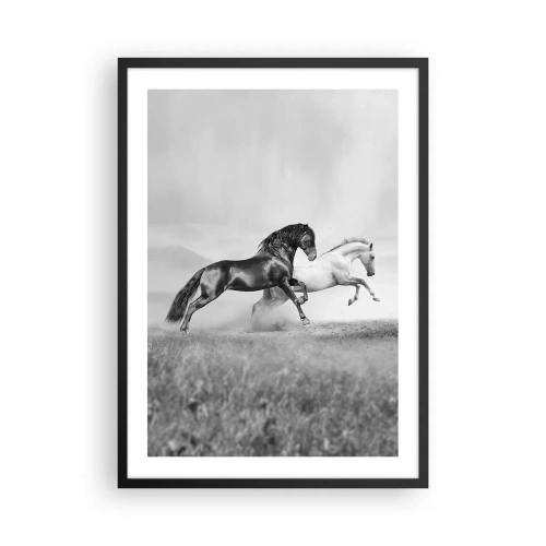 Affiche dans un cadre noir - Poster - Chevaux noirs et blancs galopant de manière dynamique sur un fond de champ - 50x70cm - Anges et démons - Décoration murale moderne pour le salon et la chambre ARTTOR