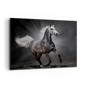 Impression sur toile - Image sur toile - Un cheval blanc galopant sur un fond sombre - 100x70cm - Le gris est beau - Décoration murale moderne pour le salon et la chambre ARTTOR