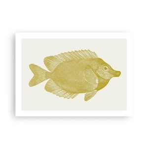Affiche - Poster - Du poisson et c'est tout - 70x50 cm
