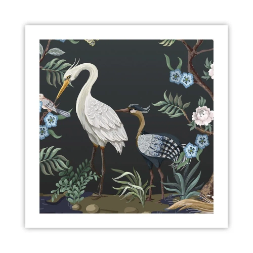 Affiche - Poster - Parade d'oiseaux - 50x50 cm
