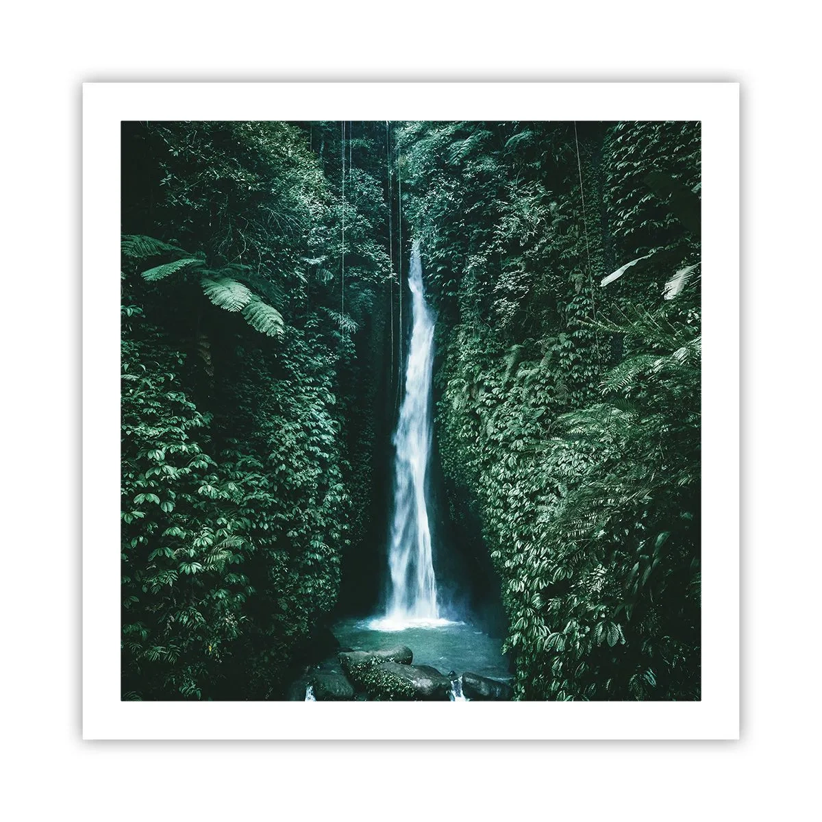 Affiche - Poster - Fontaine tropicale - 60x60 cm