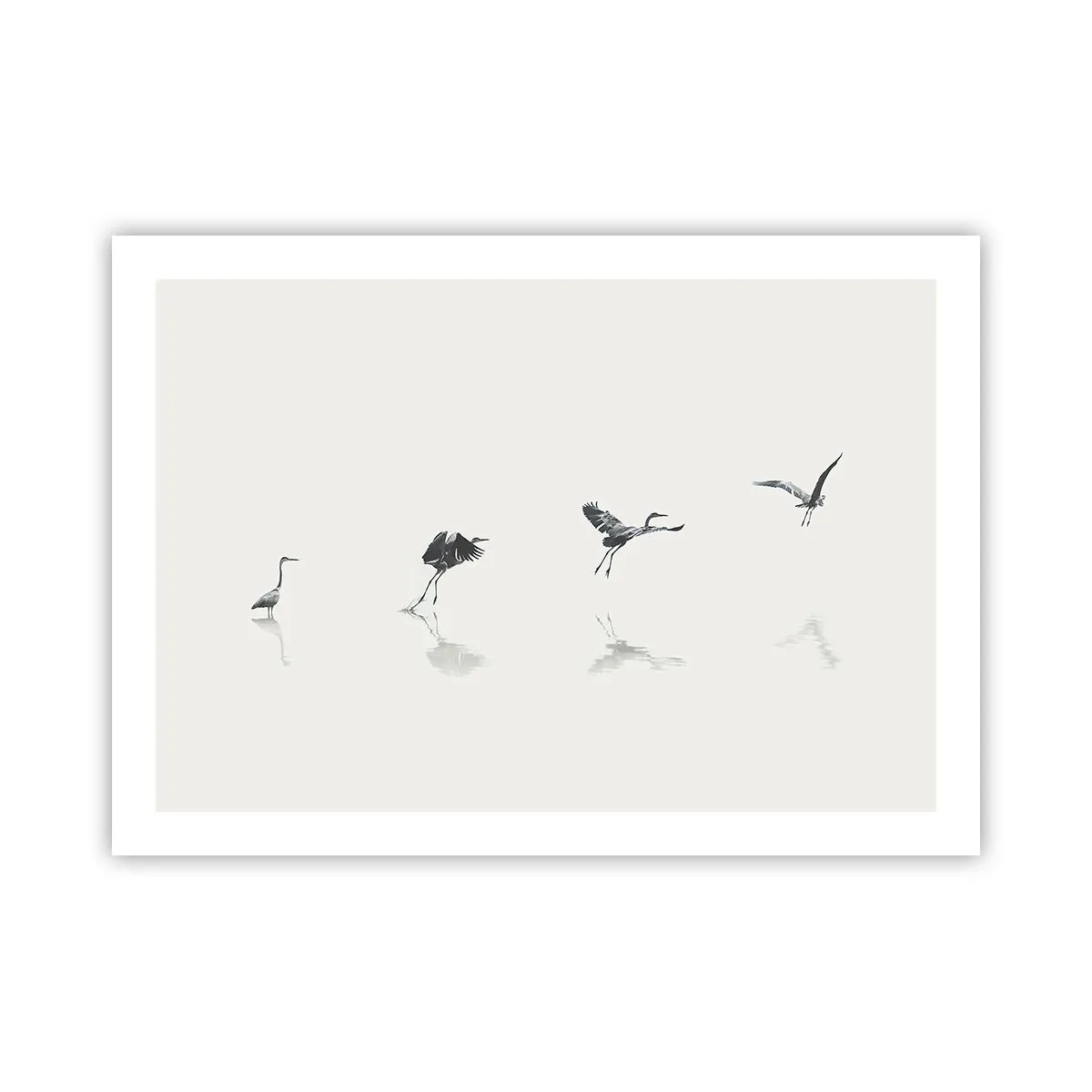 Affiche - Poster - Quatre étapes simples - 70x50 cm