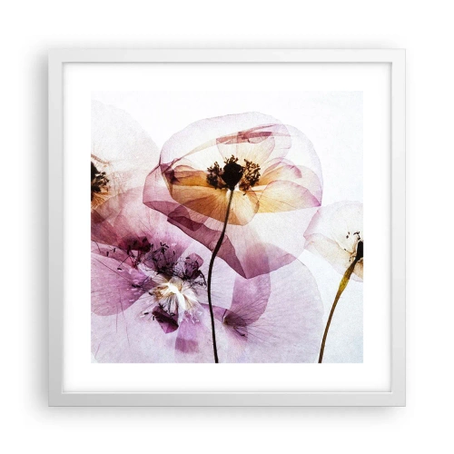 Affiche dans un cadre blanc - Poster - Corps de fleurs transparente - 40x40 cm