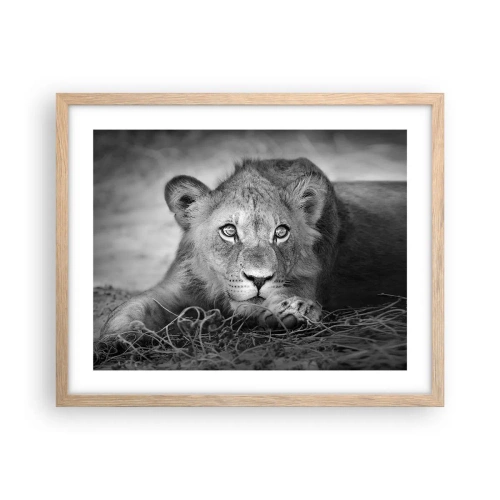 Affiche dans un chêne clair - Poster - Chiot royal - 50x40 cm