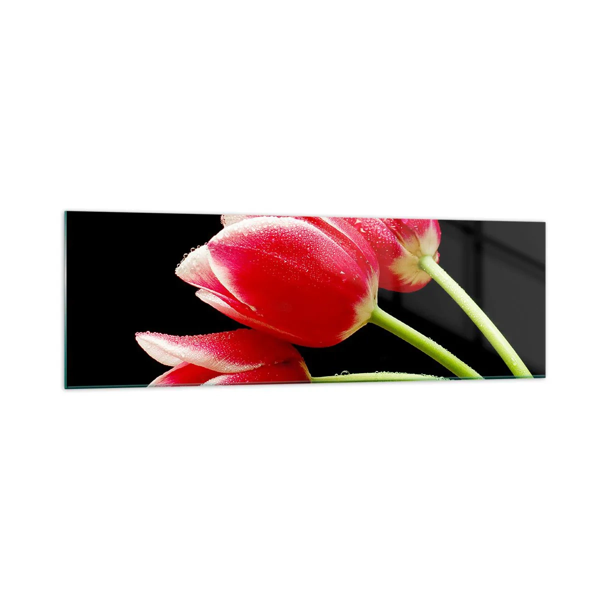 Impression sur verre - Image sur verre - Tulipes rouges avec des gouttes de rosée sur fond noir - 160x50cm - Une promesse d'amour pur - Décoration murale moderne pour le salon et la chambre ARTTOR