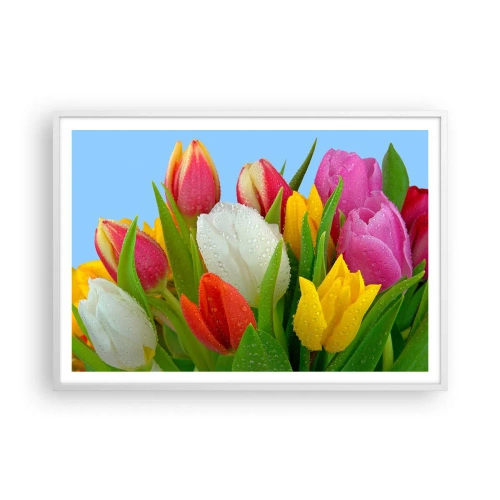 Affiche dans un cadre blanc - Poster - Un arc-en-ciel fleuri en gouttes de rosée - 100x70 cm