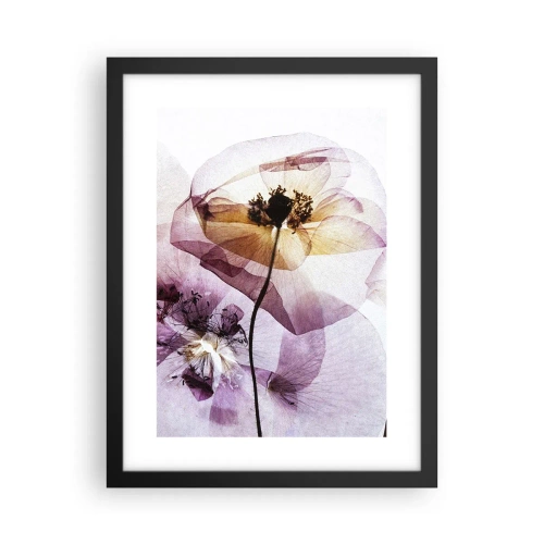 Affiche dans un cadre noir - Poster - Corps de fleurs transparente - 30x40 cm