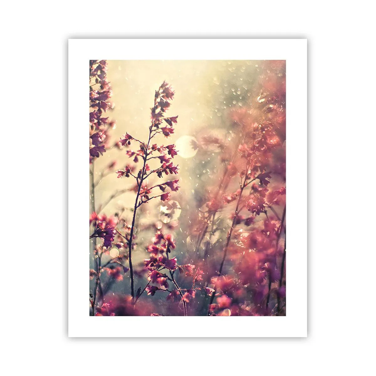 Affiche - Poster - Jardin secret - 40x50 cm